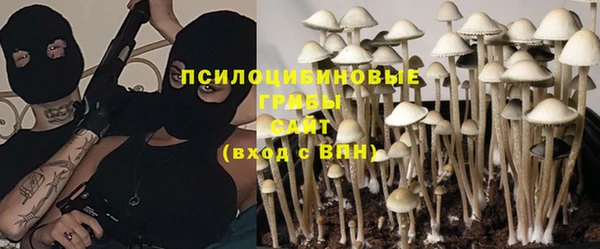 винт Бородино