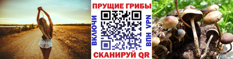 Галлюциногенные грибы Psilocybine cubensis  blacksprut зеркало  Октябрьский 